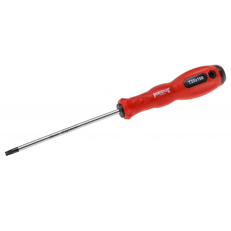 rem meesterwerk Raad Torx schroevendraaier T20 x 195 mm met levenslange garantie - Powerplustools